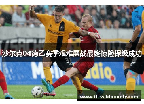 沙尔克04德乙赛季艰难鏖战最终惊险保级成功