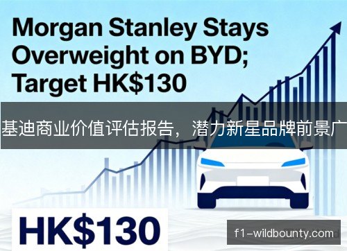 基迪商业价值评估报告,潜力新星品牌前景广 基迪商业价值评估报告,潜力新星品牌前景广