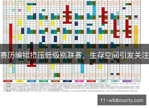 赛历编排挤压低级别联赛，生存空间引发关注